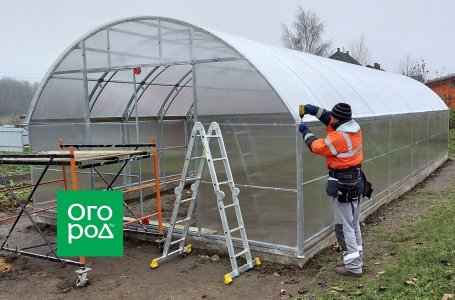 При сильном ветре теплицу открыть или закрыть